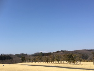 IMG_6321 （編集済み）.JPG